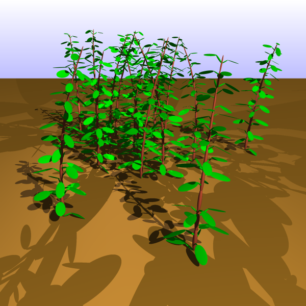Plants generated by a Python script